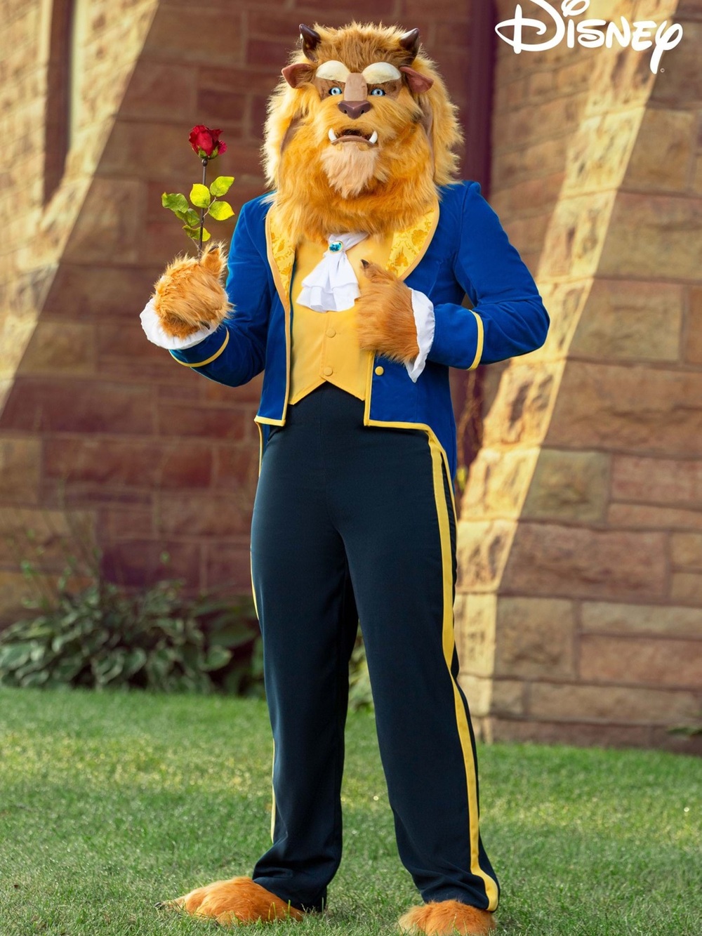 Disney Beast and the Beast Men Costume